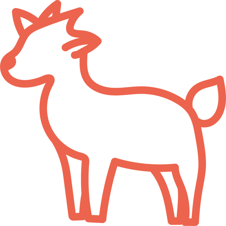 chèvre