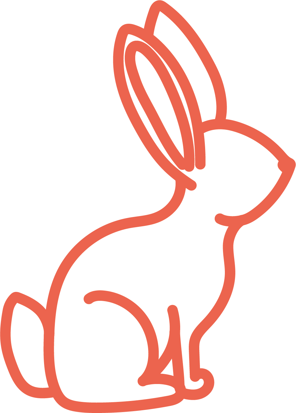 lapin